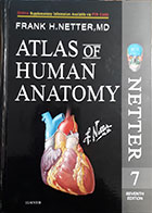 کتاب اطلس آناتومی نتر 2019 Atlas of Human Anatomy - seventh Edition