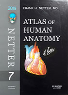 کتاب اطلس آناتومی نتر 2019 Atlas of Human Anatomy 2019 - seventh Edition