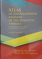 کتاب ATLAS of Topographical Anatomy Of the Domestic Animals Popesko