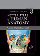 کتاب Netter Atlas of Human Anatomy 8th Edition / اطلس آناتومی نتر ۲۰۲۳