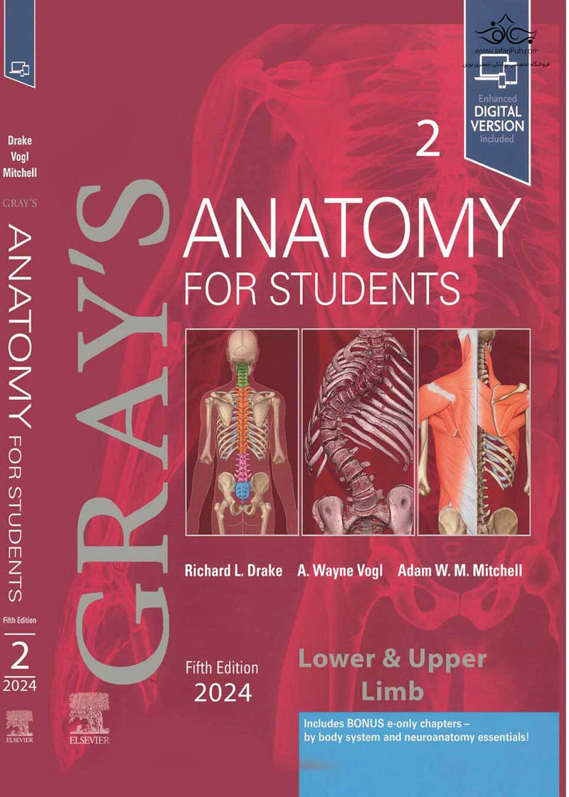 کتاب Gray's Anatomy for Students 2024 VOL 2