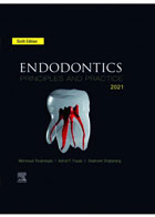 کتاب Endodontics Principles and Practice 2021 (6th Edition)   -  نویسنده  Mahmoud Torabinejad 