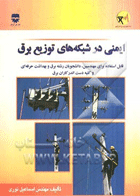 کتاب ایمنی در شبکه های توزیع برق-نویسنده اسماعیل نوری