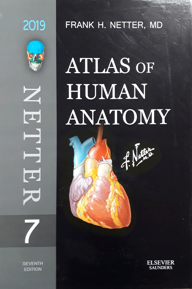 کتاب Atlas of Human Anatomy Netter offset - full color-نویسنده Frank H. Netter