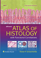 کتاب لاتین افست اطلس بافت شناسی دیفیوره ATLAS OF HISTOLOGY with Functional Correlations 13th EDITION