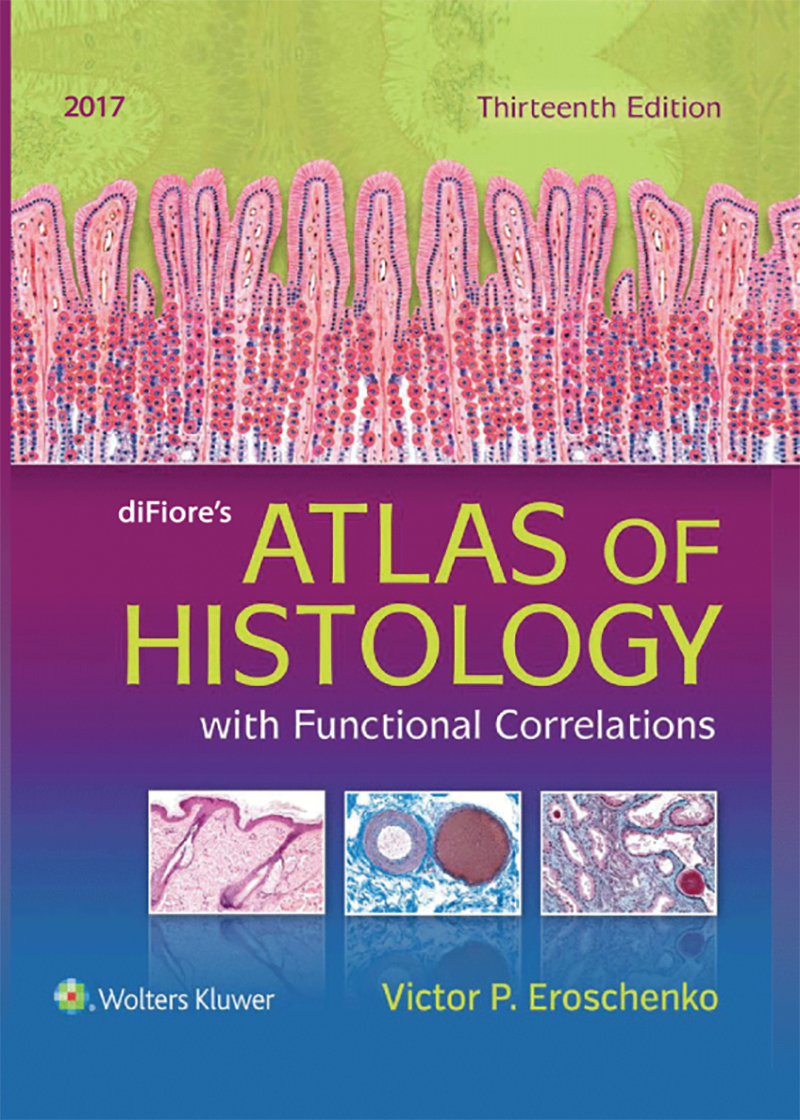 کتاب لاتین افست اطلس بافت شناسی دیفیوره ATLAS OF HISTOLOGY with Functional Correlations 13th EDITION