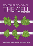 دانلود کتاب Molecular Biology of the Cell 7th Edition