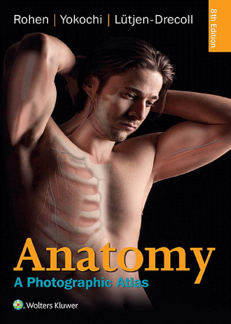 کتاب افست آناتومی روهن Anatomy A Photografic Atlas Rohen - Full Color