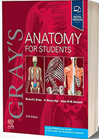 کتاب Gray’s Anatomy for Students 5th Edition آناتومی گری 2024 (تکجلدی هارد کاور)