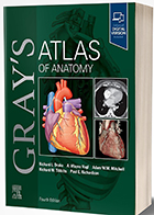 کتاب Gray’s Atlas of Anatomy 4th Edition اطلس آناتومی گری 2026