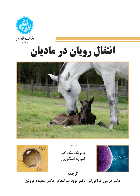 کتاب انتقال رویان در مادیان پاتریک مک کیو فرامرز قراگوزلو