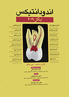 کتاب اندودانتیکس اینگل 2019 جلد 2 ویراست هفتم سعید مرادی