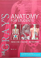 کتاب 2024 Gray's Anatomy for Students